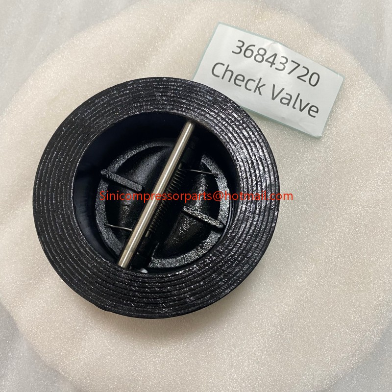 Replacement 36843720 Check Valve Screw Air Compressor Spare Parts