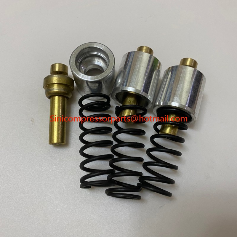 Thermostat Valve KIT 2420425667 2420425667P High Quality Factory BOGE Air Compressor Spare Parts
