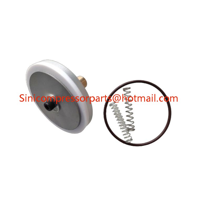 Replace Sullair air Compressor Minimum Pressure Valve Kit 001176 250018-262 Chinese Supply Industrial Compressor Valve Parts