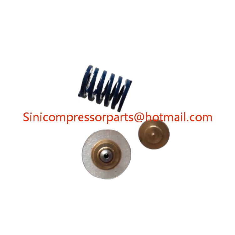 New Regulating Valve Kit 250019-453 with High Quality for Sullair Air Compressor