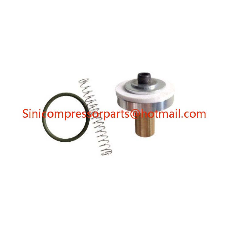 SULLAIR Minimum Pressure Check Valve Kit 250026-758 High Quality Spare Parts for air Compressors