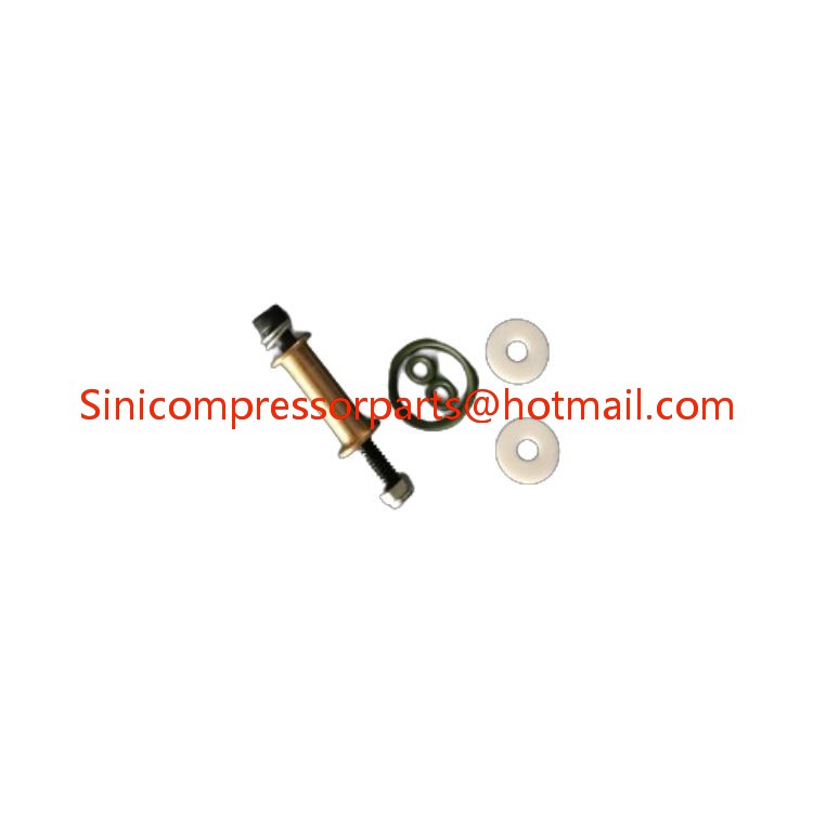 Hot Sale Sullair air Compressor Parts Blow Down Valve Repair Kit 02250045-132