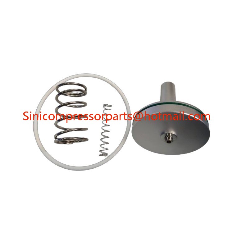 Intake Valve Repair Kit 02250053-273 for Sullair Air Compressor parts