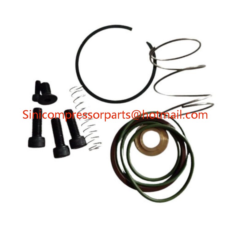 02250155-971 High Quality New Original Unloader Valve Repair Kit for Sullair Air Compressor