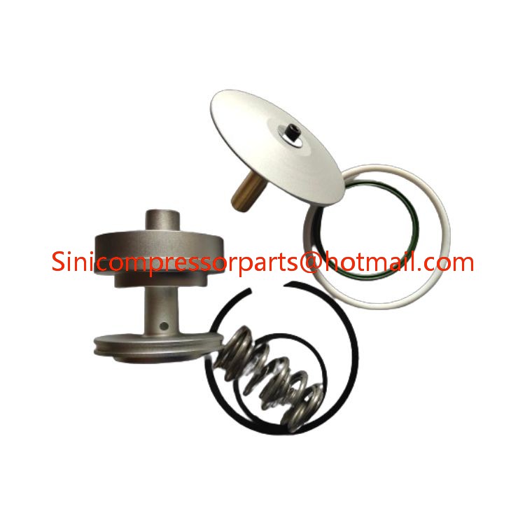 For SULLAIR air Compressor Supply High Quality Intake Valve Repair Package 02250166-230 KIT