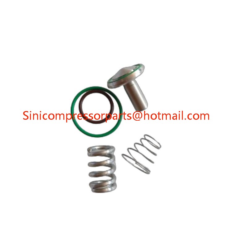 Ingersoll Rand Maintenance Kit 22064695 Minimum Pressure Valve kit 22064695 2200900944 622195033500