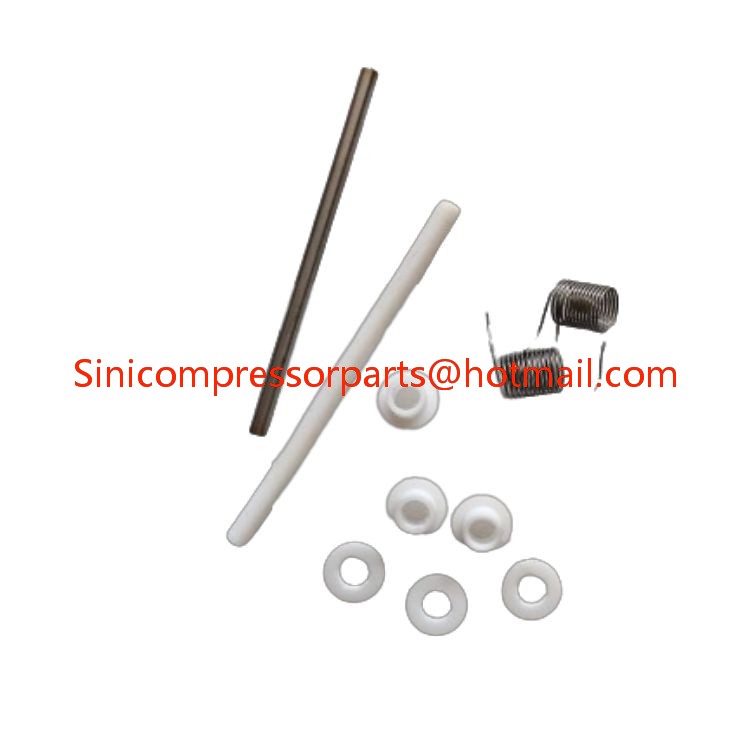 22383053 39332754 2906018700 2906054100 for IngersoII Rand Screw air Compressor Check Valve KIT Industrial Screw air Compressor Parts