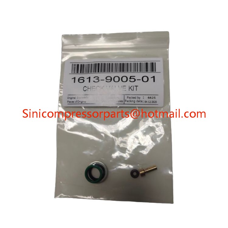 Factory Price Non Return Valve 1613900501 Fit for air Compressor Good Quality air Compressor Spare Parts Return Valve