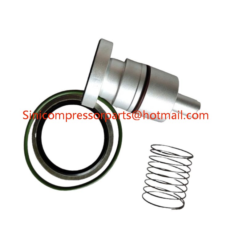 Replacement ATLAS COPCO Screw Air Compressor Spare Parts Minimum Pressure Valve Kit 2901099700 1622052201