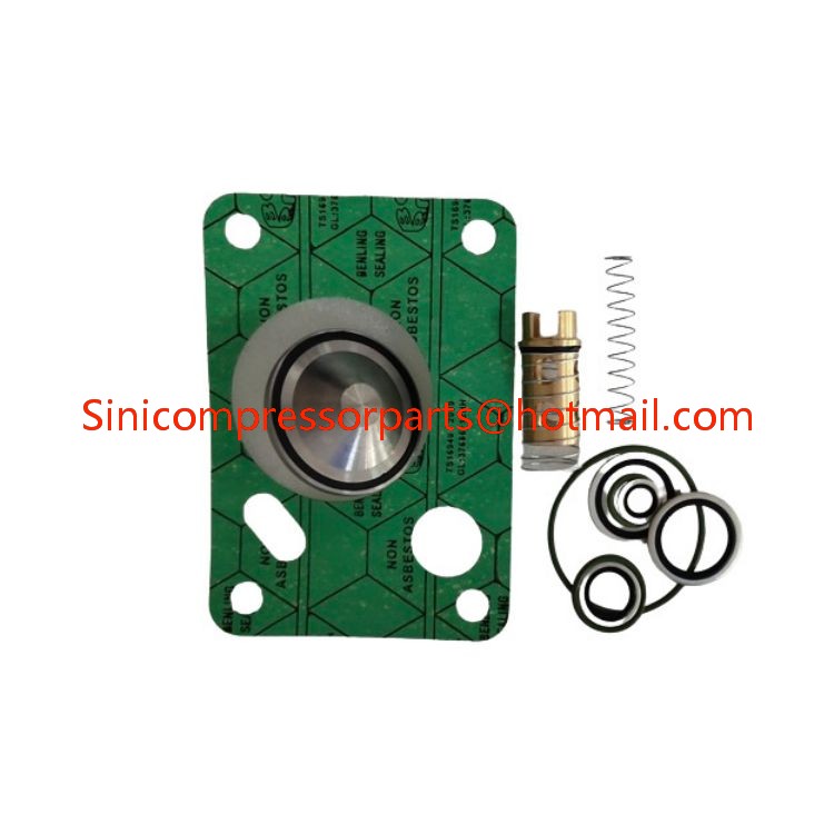1622079500 2901108401 2901108400 Check Oil Stop Valve Repair Kit for Atlas copco Air Compressor Industrial Compressor Parts