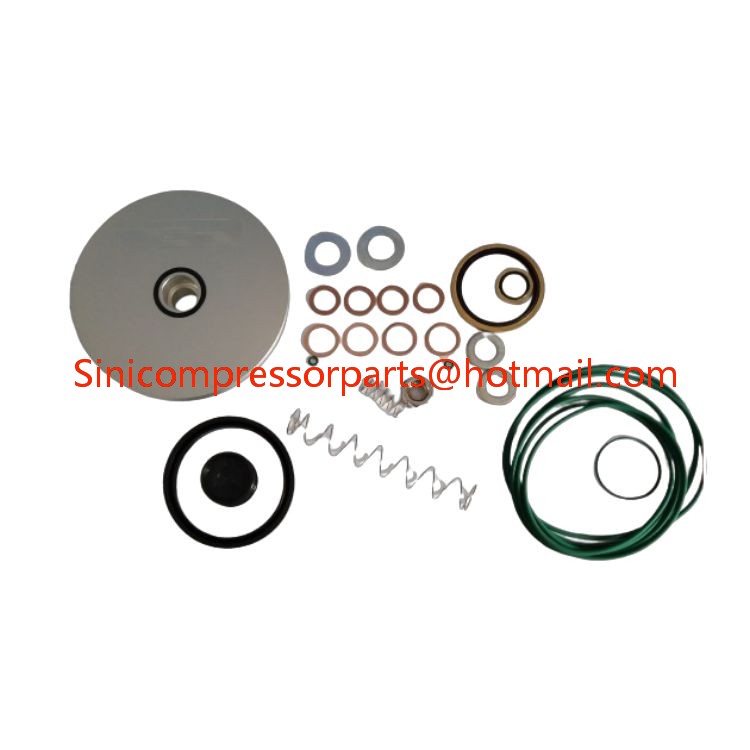 OEM for Atlas Copco Air Compressor Unloading Valve Maintenance Kit 2200599840 for Liutech Air Compressor