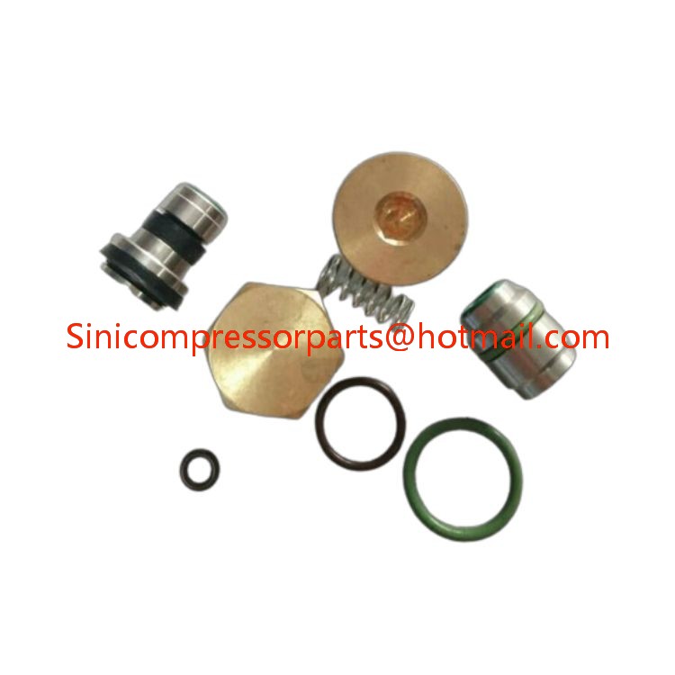 Intake Valve Kit Spare Parts for Liutech Screw Air Compressor 2200900950 2205490431 2200900953