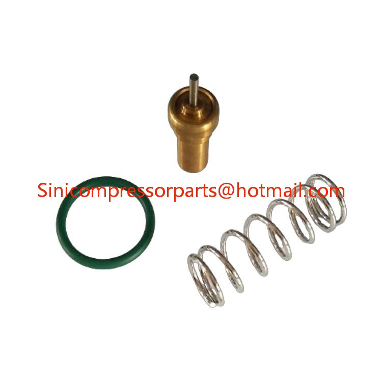 2205117395 6246396100 Good Quality for Atlas Liutech air Compressor Thermostatic Valve Kit Industrial Compressor Parts