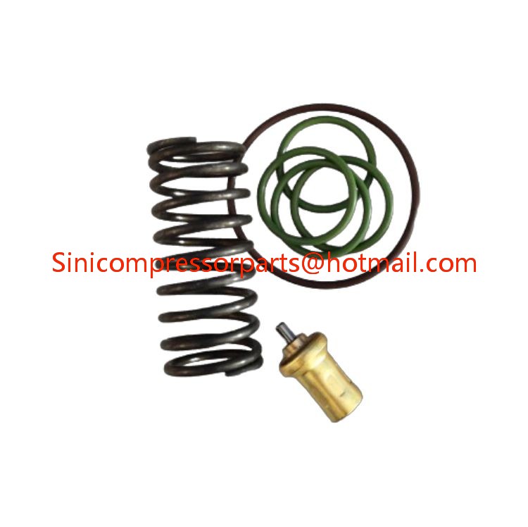 2205490592 Thermostatic Valve Kit for Atlas Liutech Air Compressor