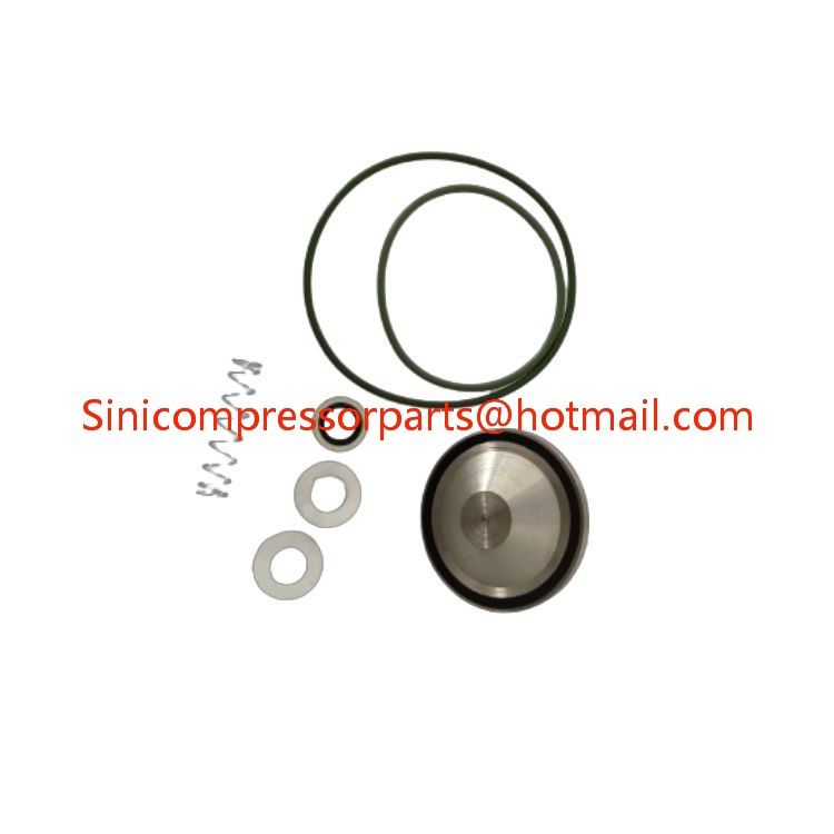 2901007701 Check Valve Kit Service Kit 2901007700 for Atlas Copco Air Compressor Spare Parts 2901-0077-00