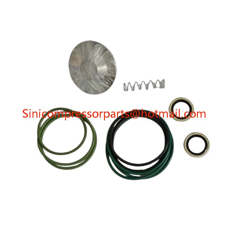 2901021200 2901001400 For Atlas Copco Essential Industrial Compressor Maintenance Kit Includes New One-Way Check Valve KIT