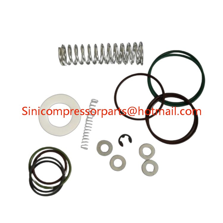 Compressor Accessory 2901000600 2901021800 2901145300 Pressure Valve Repair Kit Is Suitable for Atlas copco