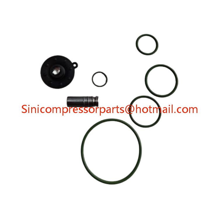High Quality Drain Valve Repair Kit 2901067300 for Atlas Copco Air Compressor 2901-0673-00