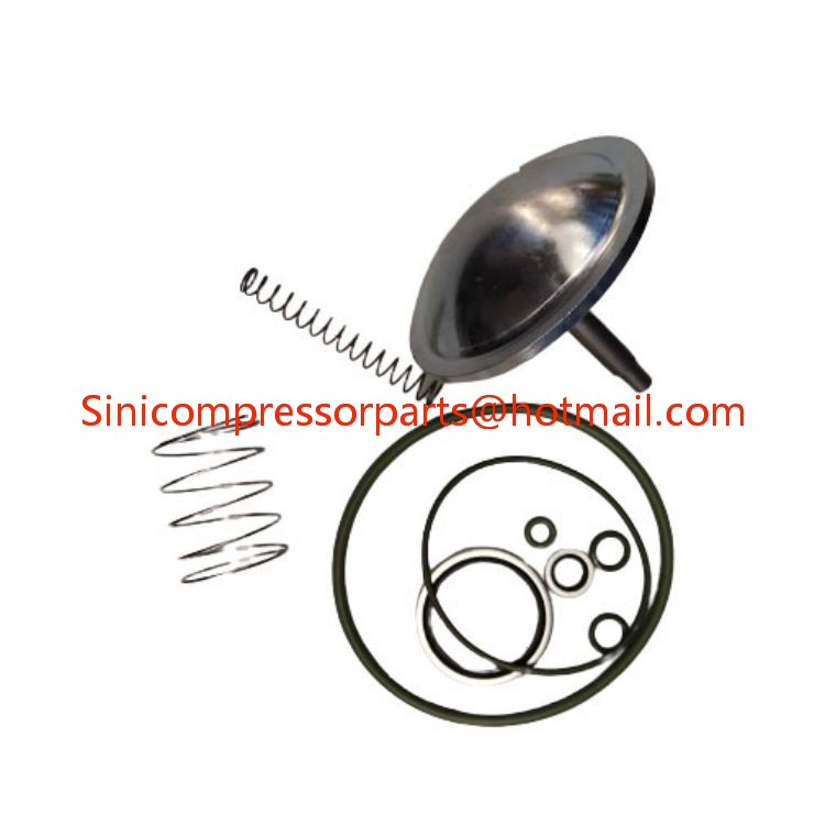 2901096100 2906096100 3001172100 atlas copco Air Compressor Parts Check Valve Oil Stop Valve Kit Repair Kit 29060961001