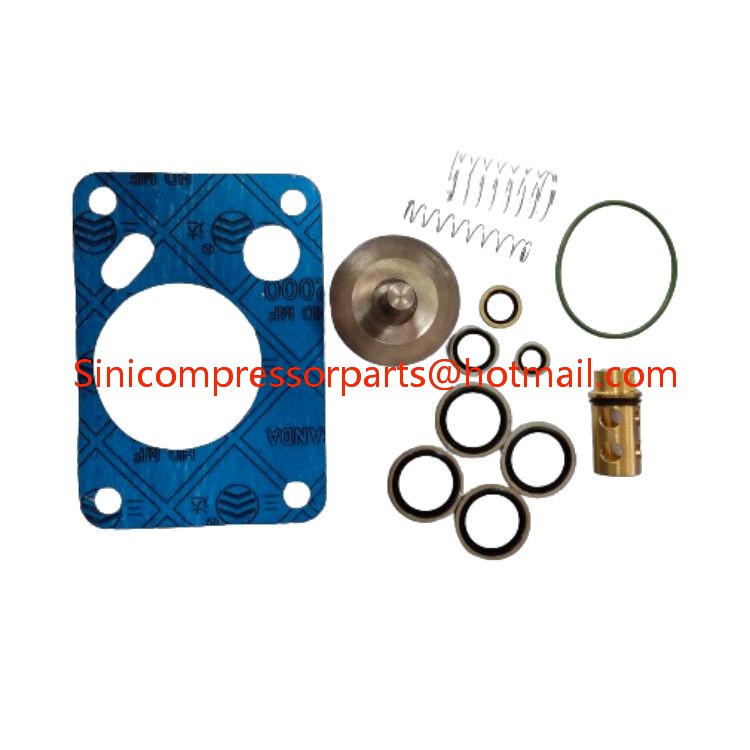 High quality new air compressor maintenance kit accessories 2901108400 2901108401 for Atlas Copco oil-free compressor