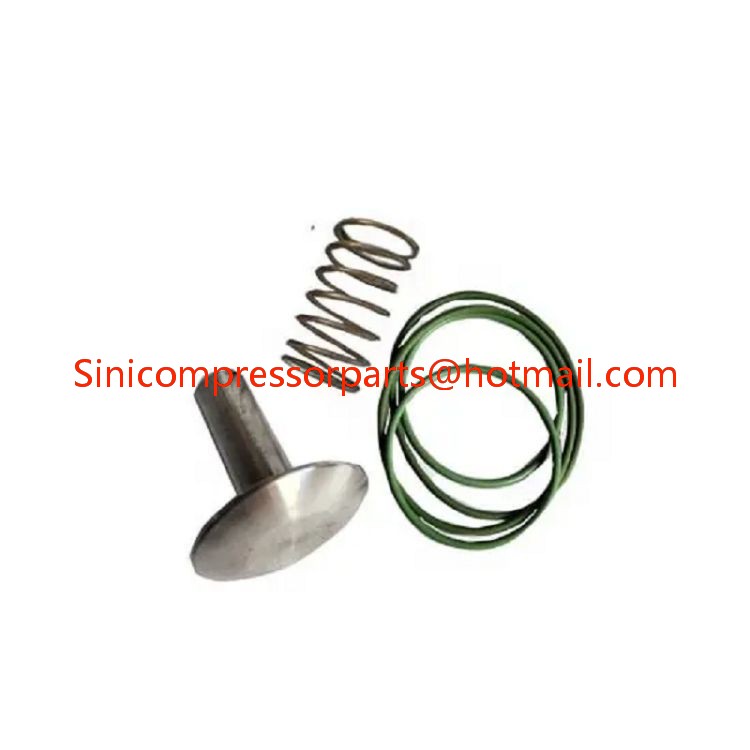 Oil-free air Compressot Part Check Valve Repair Kit 2901186400 2901110000 for Atlas Copco