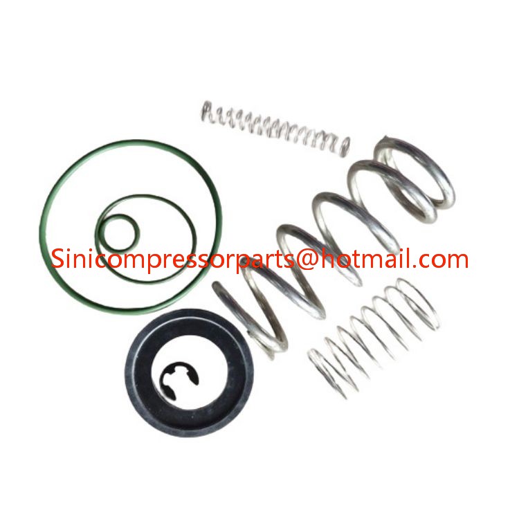 New Condition Minimum Pressure Valve Service Kit for Atlas Copco MPV 2901-1453-00 for Screw Compressor