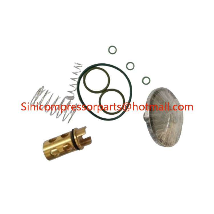 Good Quality Metal Material Oil Stop Valve Kit 2901202000 for atlas copco Screw Air Compressor