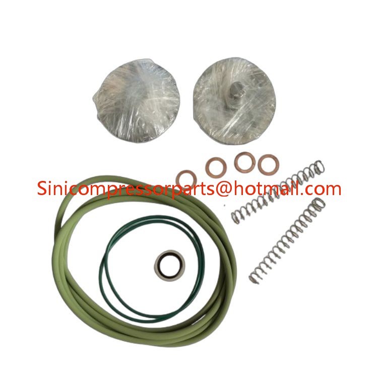 2906-0021-00 atlas copcp Industrial Screw Air Compressor Check Valve Kit 2906002100 Metal Parts Ready for Delivery