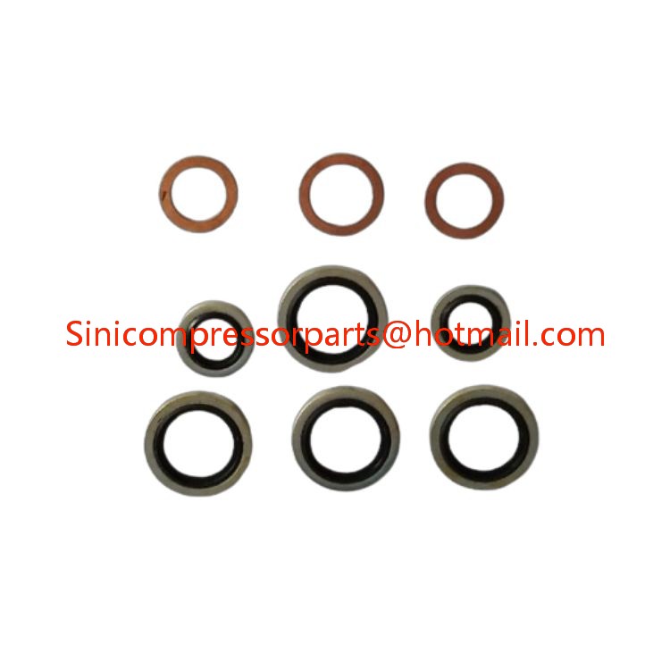 Hot Sell Compressor Air Filters kit 2906009200 Replace Compressed Spare Parts Original