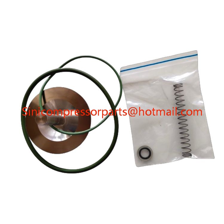2906009300 2254532400 Check Valve Service Kit Spare Part for Atlas Copco Air Compressors parts