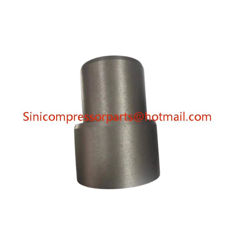 1623445700 1623445701 air Compressor Minimum Pressure Valve Piston 1623445703