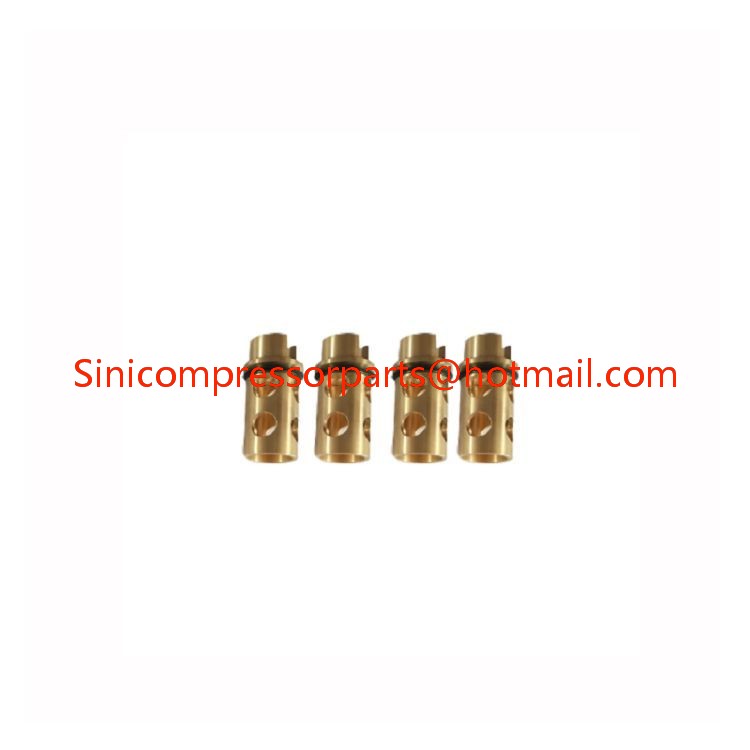 Wholesale air Compressor Oil Stop/check Valve Kit 2901201800