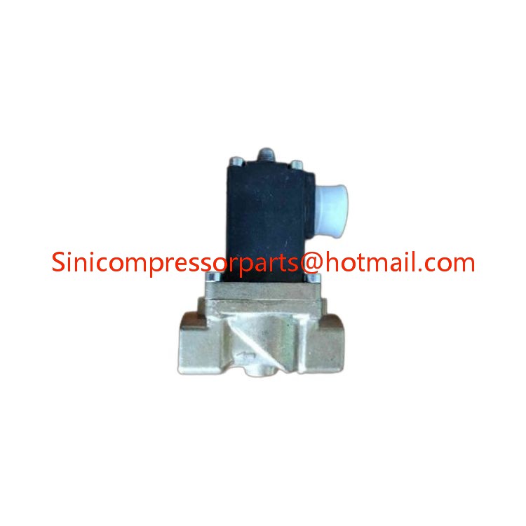 Good Quality Air Compressor Solenoid Valve 100008869 Fit for Compair