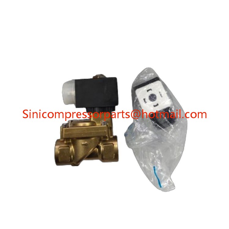 2205404301 Solenoid Valve Electronic Blowdown Valve for Liutech Air Compressor AC220V Valve