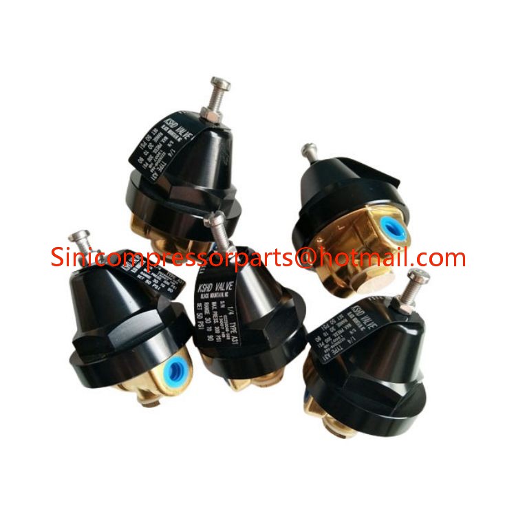 Air Compressor Spare Parts High Pressure Regulator Valve 02250046-568