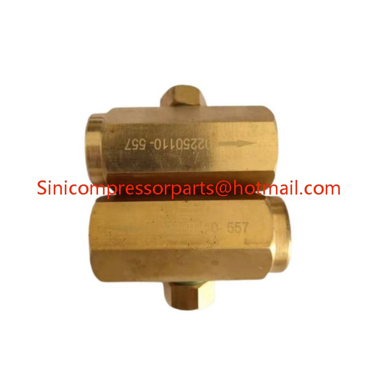 High Quality SULLAIR Air Compressor Spare Parts 02250110-557 Check Valve