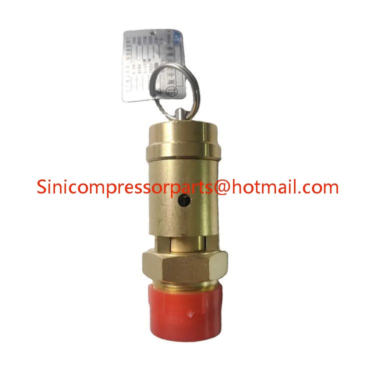 99294605 Safety Valve Compressor Accessories Industrial Compressor Spare Parts